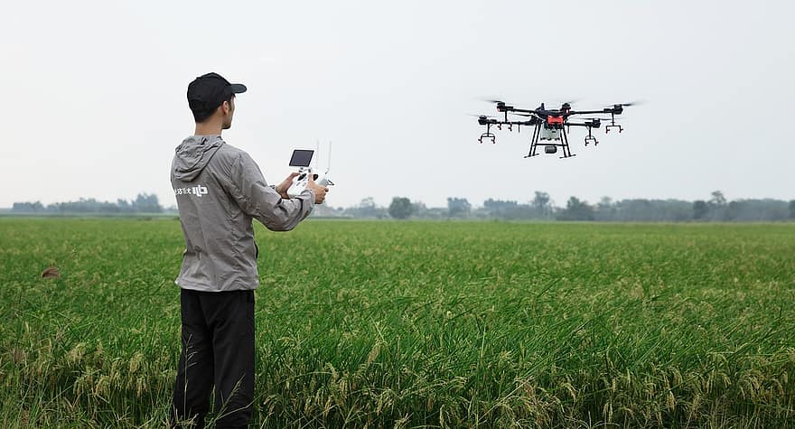 Dron en campo de cultivo